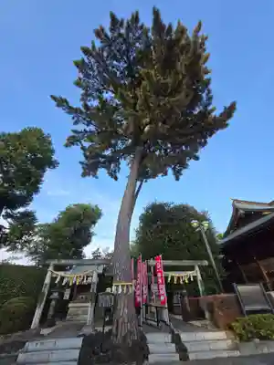 中野沼袋氷川神社(東京都)