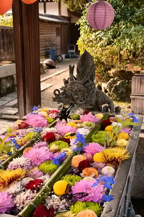 柳谷観音 楊谷寺(京都府)
