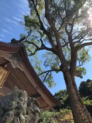宝満宮竈門神社(福岡県)
