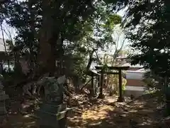 愛宕神社の自然