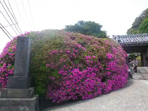 安養院　(田代寺）の周辺