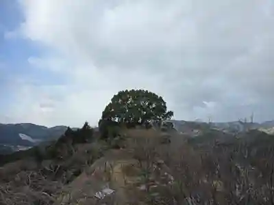 金刀比羅神社 若一神社(岡山県)