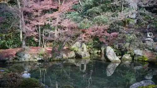 蓮華寺（洛北蓮華寺）(京都府)