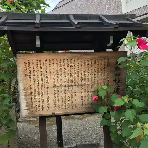 妙蓮寺の歴史