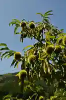 三島神社(川中)(愛媛県)