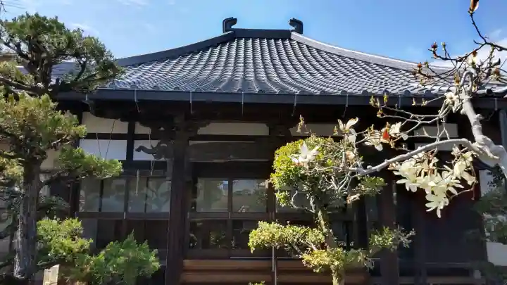 蓮乗寺の{uncategorized: "未分類", other: "その他", undefined: "問題あり", building: "その他建物", grave: "お墓", sacred_gate: "鳥居", guardian: "狛犬", statue: "像", buddha: "仏像", history: "歴史", nature: "自然", garden: "庭園", animal: "動物", pagoda: "塔", temizu: "手水舎", mountain_gate: "山門・神門", sanctuary: "本殿・本堂", subordinate: "末社・摂社", art: "芸術", scenery: "景色", jizo: "地蔵", ema: "絵馬", goshuin: "御朱印", omikuji: "おみくじ", items: "授与品その他", amulet: "お守り", goshuincho: "御朱印帳", eats: "食事", festival: "お祭り", votive_dance: "神楽", shichigosan: "七五三参", wedding: "結婚式", experience: "体験その他", initially: "初詣", around: "周辺", anti_infection: "感染症対策"}
