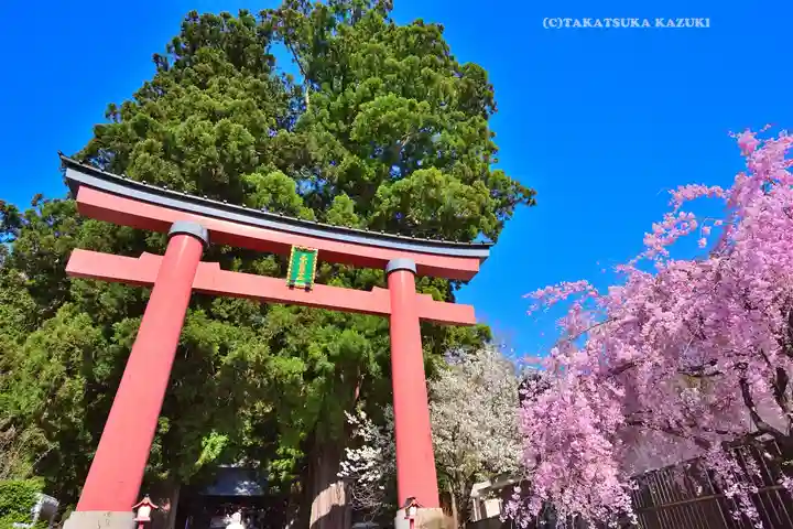 河口浅間神社(山梨県)