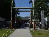 浅草神社の鳥居