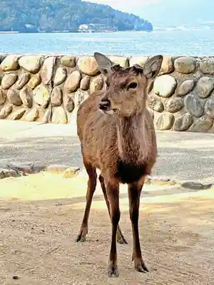 厳島神社(広島県)