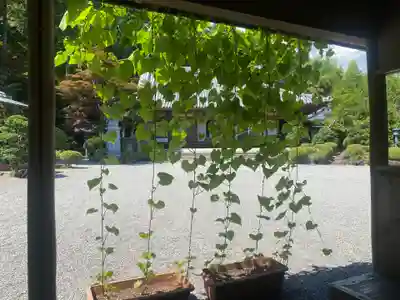 崇禅寺(群馬県)