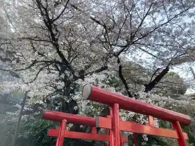 狸穴稲荷社(東京都)