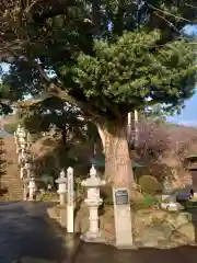 長谷寺の建物その他