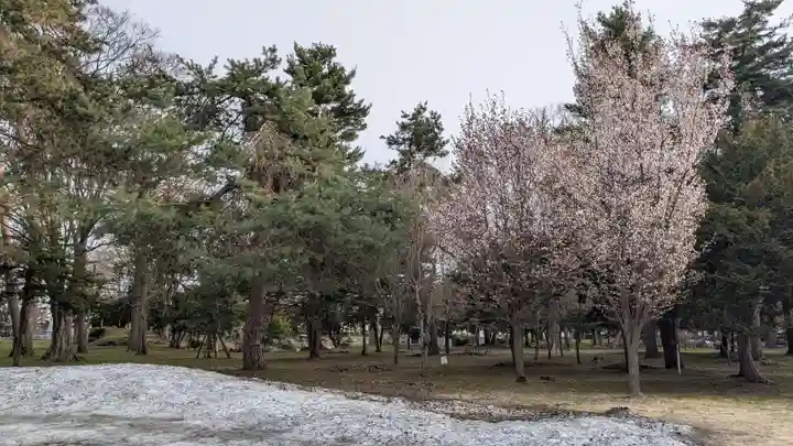 北海道護國神社の自然
