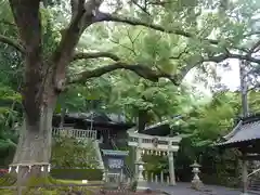 事任八幡宮の鳥居