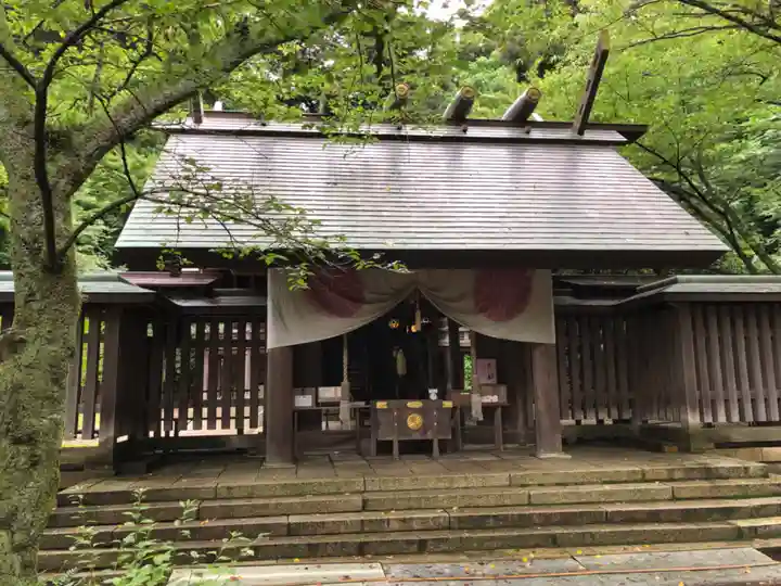 金崎宮の本殿・本堂