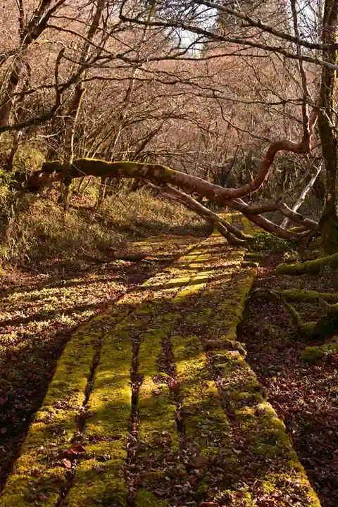 野鹿池神社(徳島県)