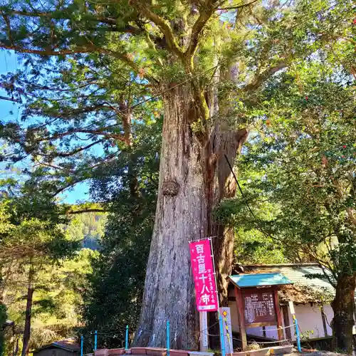 武速神社(静岡県)