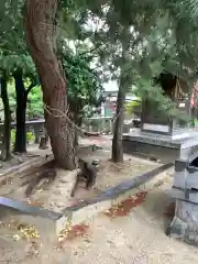 小垣江神明神社の自然