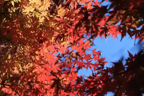 豊景神社の景色