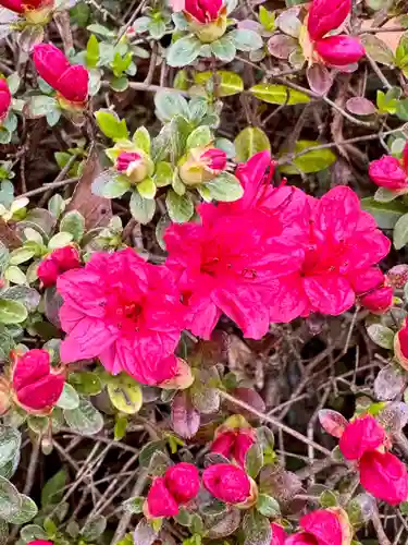 芳養八幡神社(和歌山県)