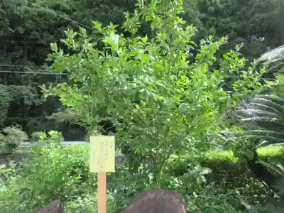 浄発願寺(神奈川県)