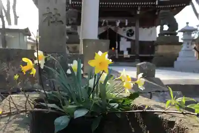 熊野福藏神社の手水舎