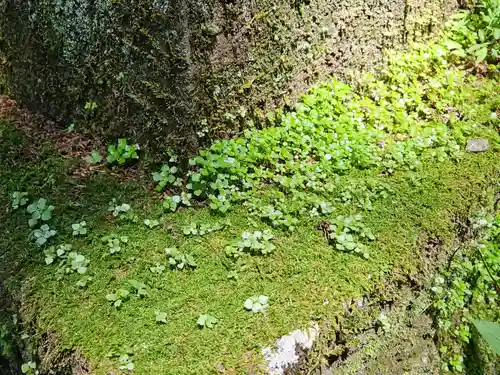 赤城神社(三夜沢町)(群馬県)