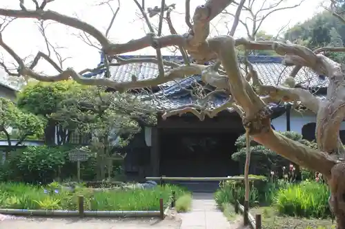 極楽寺（霊鷲山感應院極楽律寺）の自然