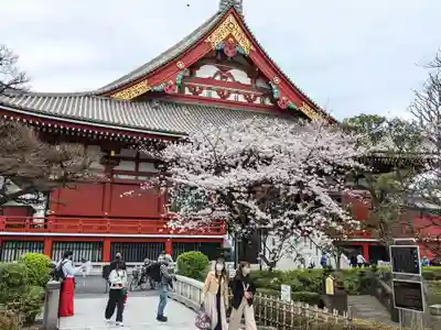 浅草神社の周辺