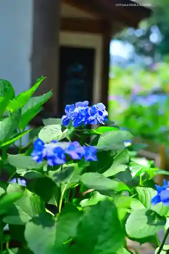 妙楽寺(神奈川県)