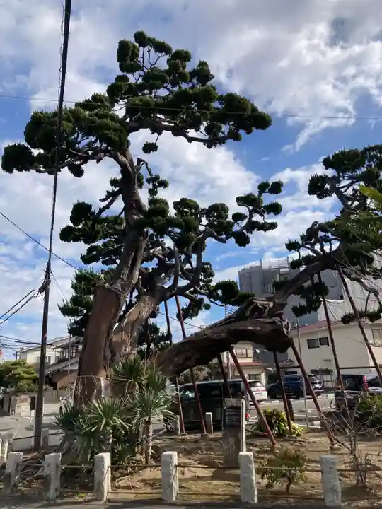 妙法寺(神奈川県)