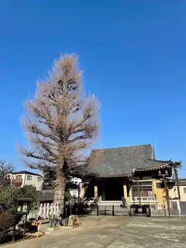 福王山  慈眼寺の本殿・本堂