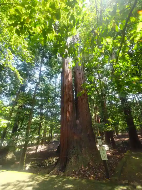 若狭彦神社(上社)(福井県)