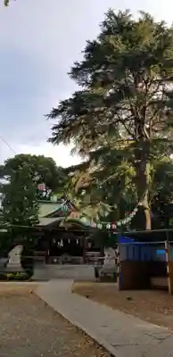 葛西神社の本殿・本堂