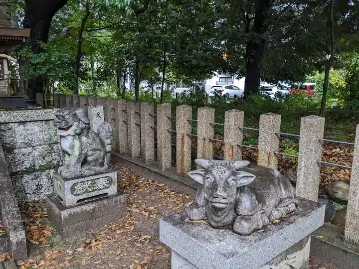 八幡社(柏井町)の狛犬