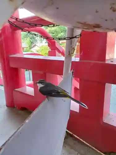 白狐山光星寺(山形県)