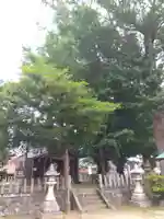 金山彦神社(福井県)