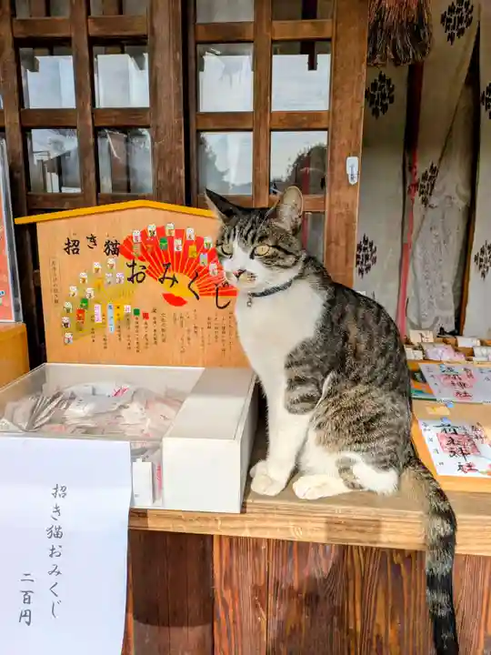 前玉神社(埼玉県)