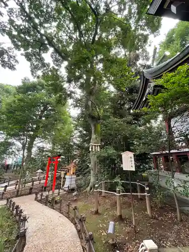 川越八幡宮の庭園