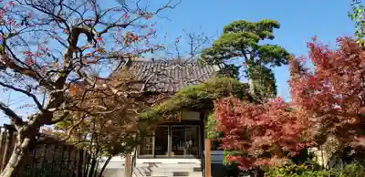 正円寺の本殿・本堂