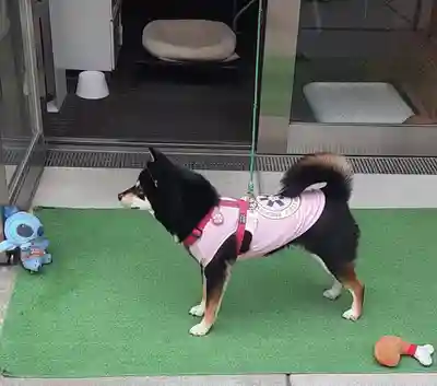 【閉業】小石川大神宮(東京都)