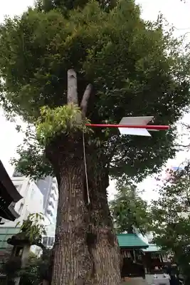 三輪神社(愛知県)