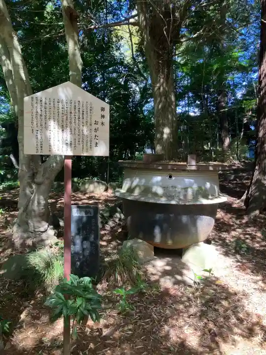 大宝八幡宮の{uncategorized: "未分類", other: "その他", undefined: "問題あり", building: "その他建物", grave: "お墓", sacred_gate: "鳥居", guardian: "狛犬", statue: "像", buddha: "仏像", history: "歴史", nature: "自然", garden: "庭園", animal: "動物", pagoda: "塔", temizu: "手水舎", mountain_gate: "山門・神門", sanctuary: "本殿・本堂", subordinate: "末社・摂社", art: "芸術", scenery: "景色", jizo: "地蔵", ema: "絵馬", goshuin: "御朱印", omikuji: "おみくじ", items: "授与品その他", amulet: "お守り", goshuincho: "御朱印帳", eats: "食事", festival: "お祭り", votive_dance: "神楽", shichigosan: "七五三参", wedding: "結婚式", experience: "体験その他", initially: "初詣", around: "周辺", anti_infection: "感染症対策"}