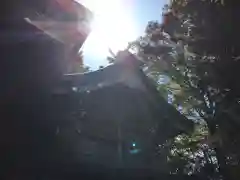 日枝神社の本殿