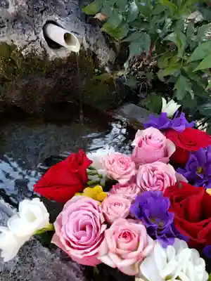 本郷氷川神社(東京都)