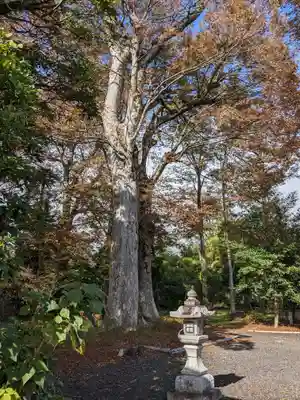 大沼 日吉神社(滋賀県)