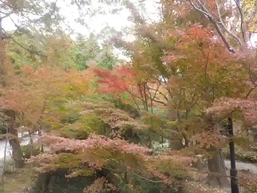 鶴岡八幡宮の自然