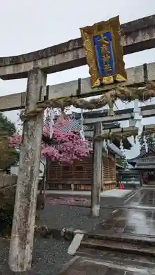 大歳神社(京都府)