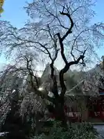 清水寺(長野県)