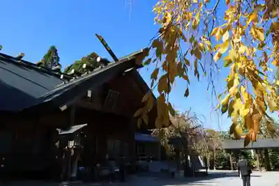 開成山大神宮の本殿・本堂